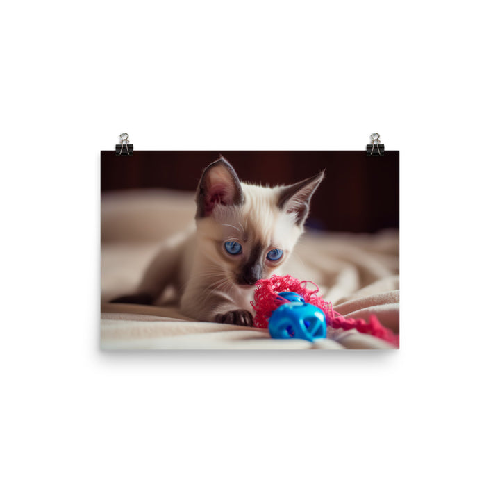 Adorable Balinese Kitten Playing with Toy photo paper poster - Posterfy.AI