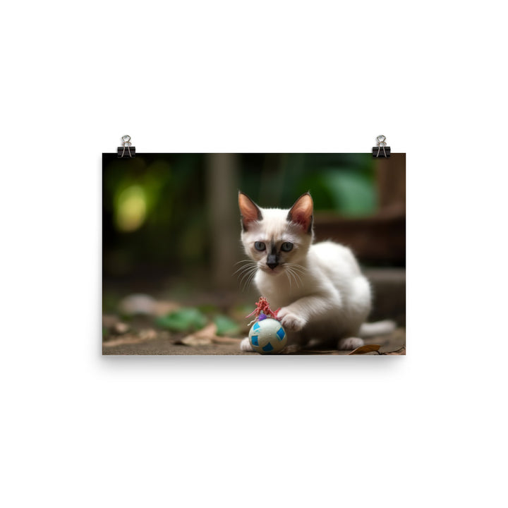 Adorable Balinese Kitten Playing with Toy photo paper poster - Posterfy.AI