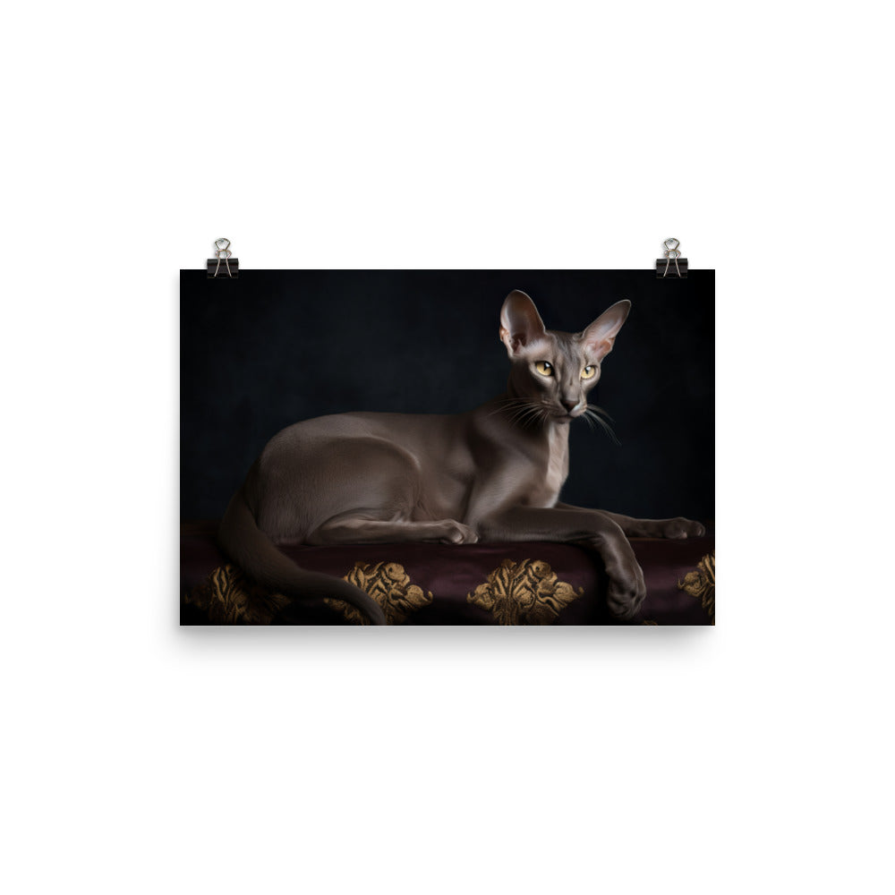 Majestic Oriental Shorthair on Velvet photo paper poster - Posterfy.AI