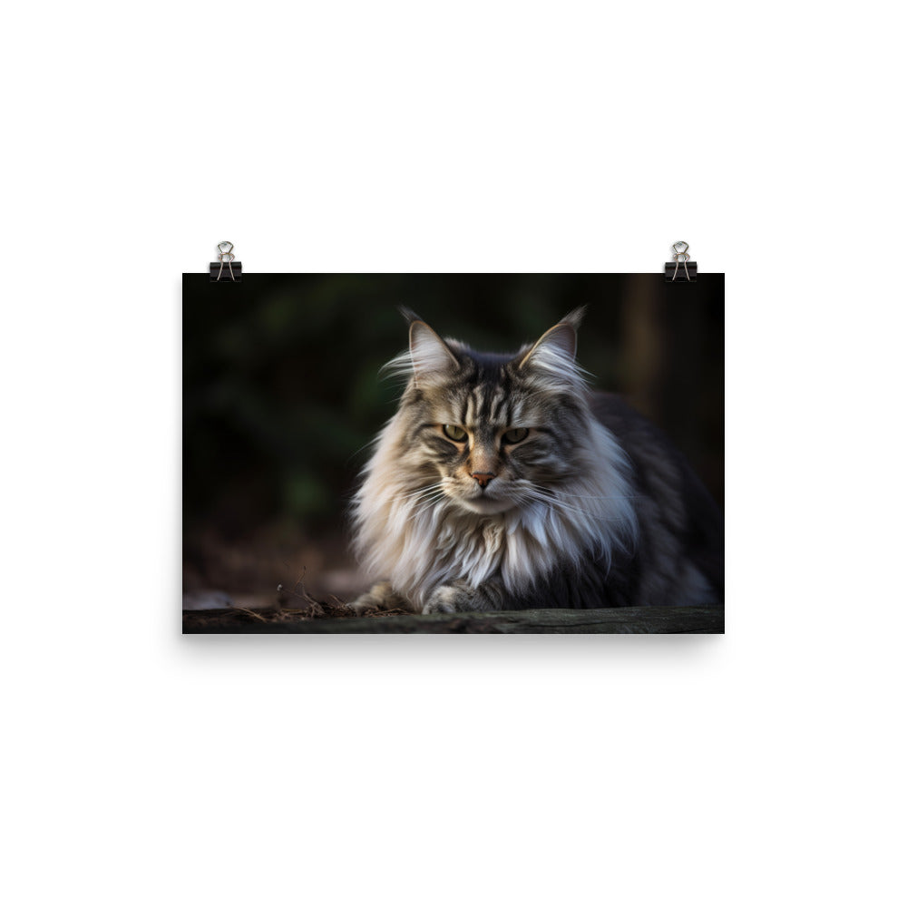 Portrait of a Majestic Norwegian Forest Cat photo paper poster - Posterfy.AI