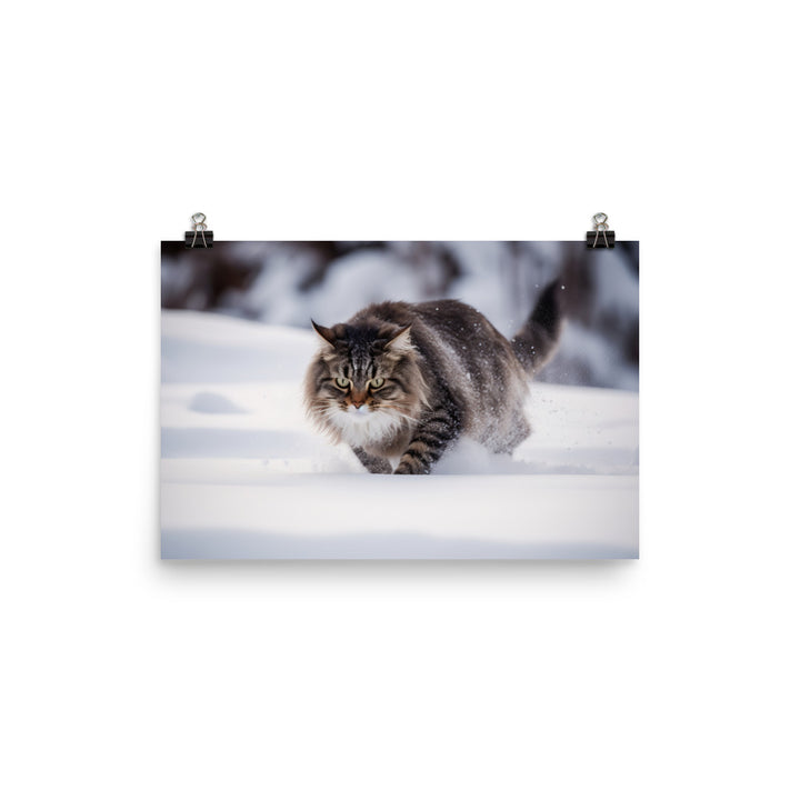 Norwegian Forest Cat Playing in the Snow photo paper poster - Posterfy.AI