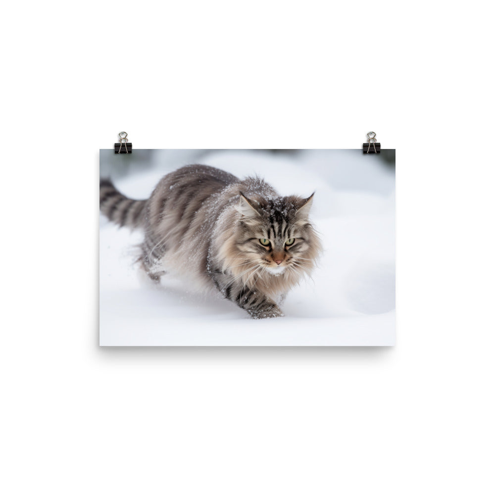 Norwegian Forest Cat Playing in the Snow photo paper poster - Posterfy.AI