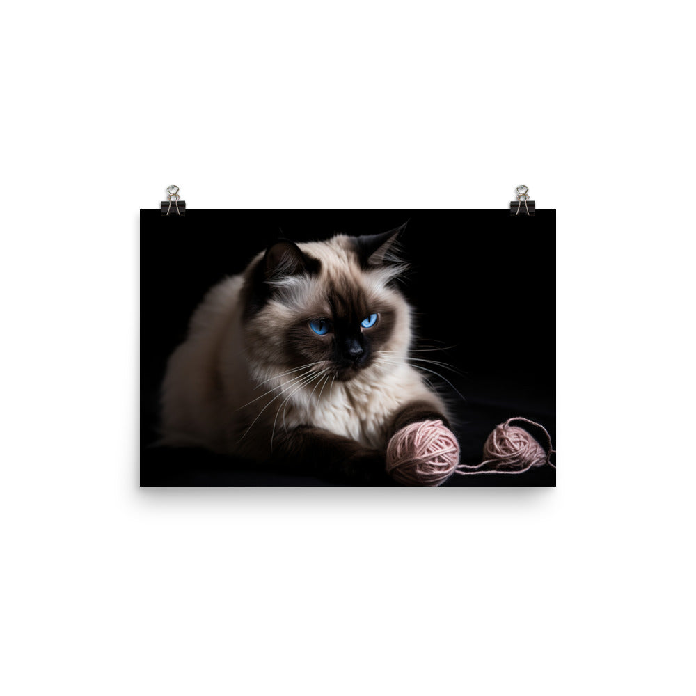 Himalayan cat playing with a ball of yarn photo paper poster - Posterfy.AI