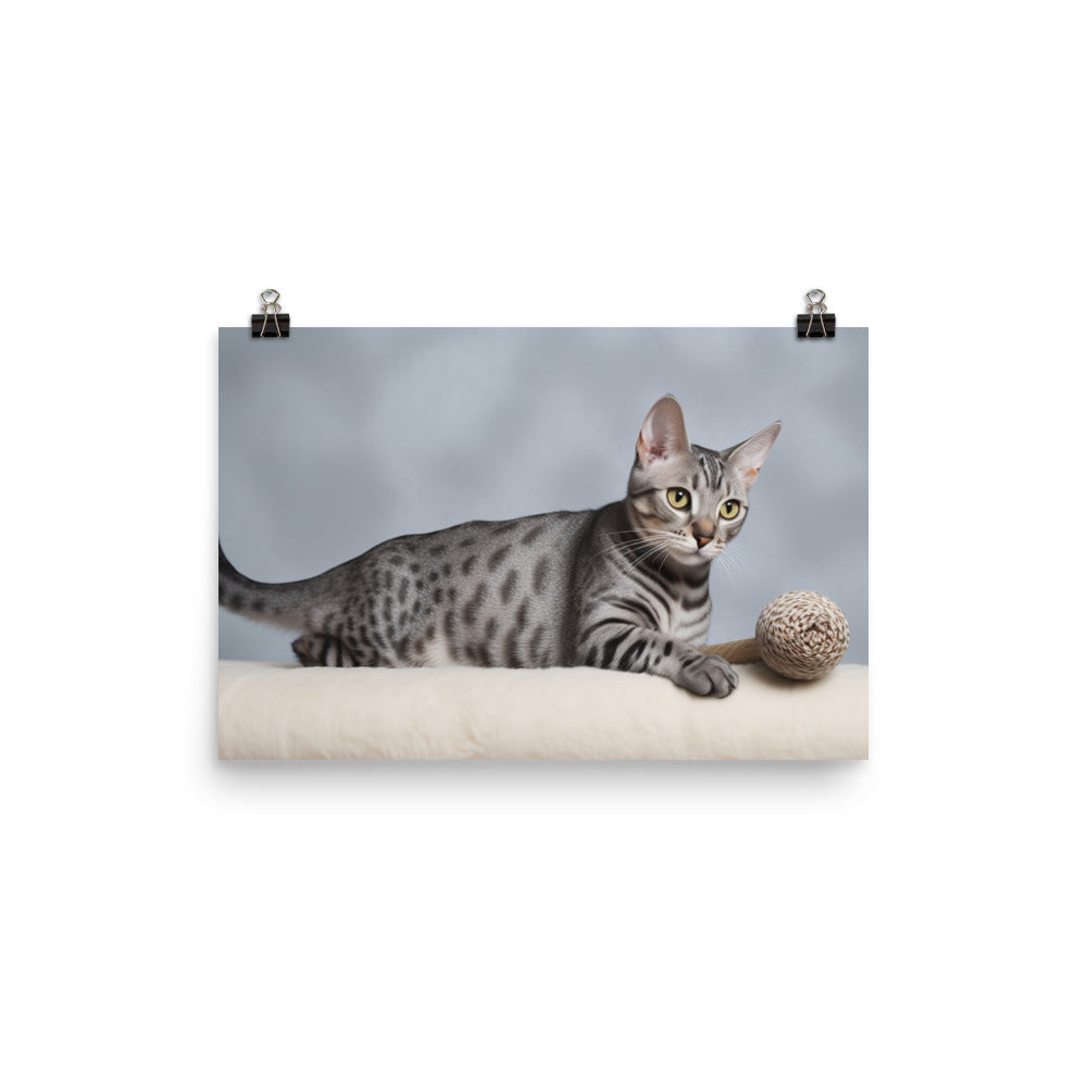 Egyptian Mau playing with toys  photo paper poster - Posterfy.AI