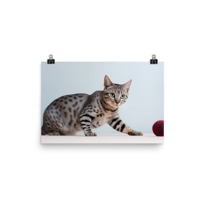 Egyptian Mau playing with toys  photo paper poster - Posterfy.AI