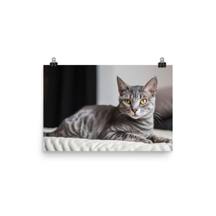 Egyptian Mau lounging photo paper poster - Posterfy.AI