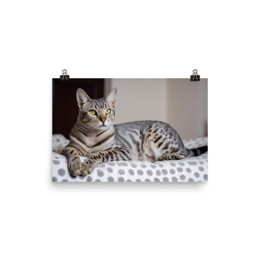 Egyptian Mau lounging photo paper poster - Posterfy.AI