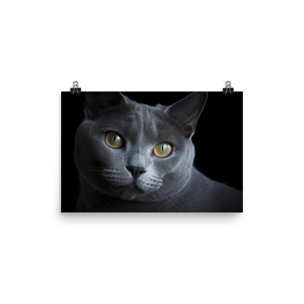 Russian Blue Royalty photo paper poster - Posterfy.AI