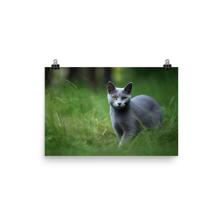 Russian Blue in Natures Playground photo paper poster - Posterfy.AI