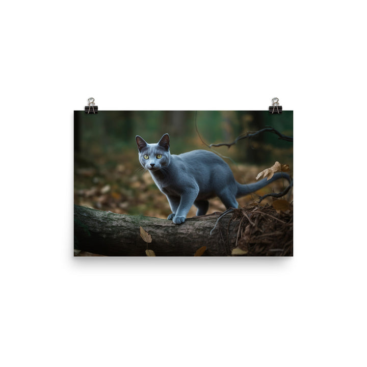 Russian Blue in Natures Playground photo paper poster - Posterfy.AI