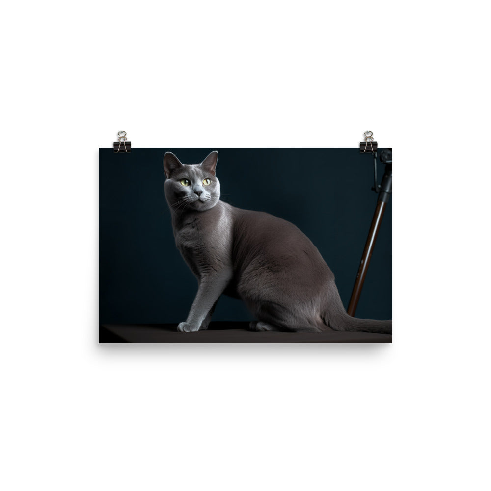 Russian Blue Elegance photo paper poster - Posterfy.AI