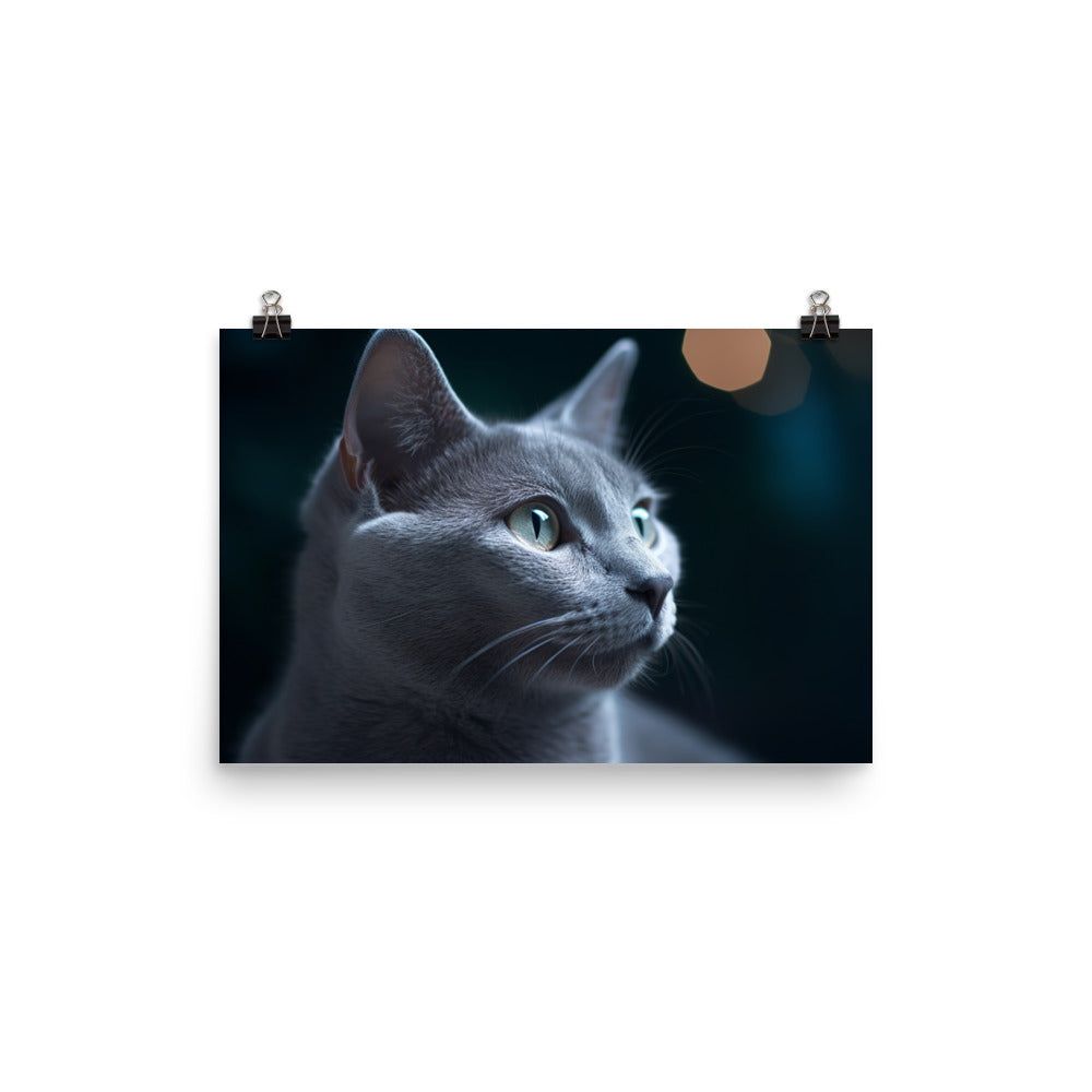 Dreamy Nights with Russian Blue photo paper poster - Posterfy.AI