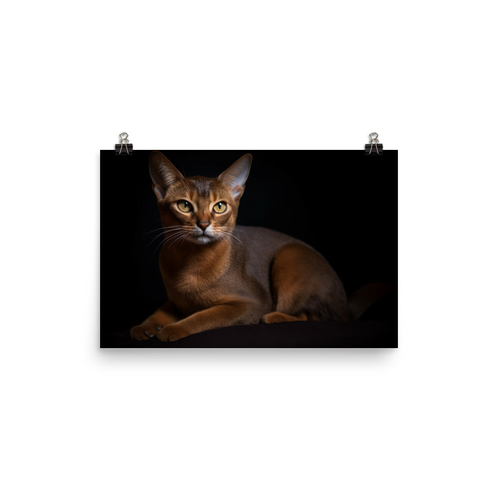 Adorable Abyssinian posing for the camera photo paper poster - Posterfy.AI