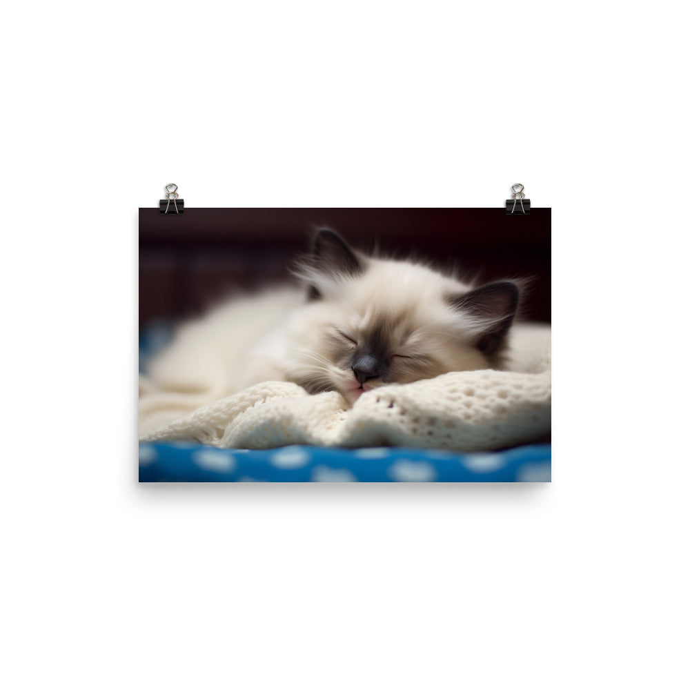 Ragdoll Kitten Napping in Cozy Blanket photo paper poster - Posterfy.AI