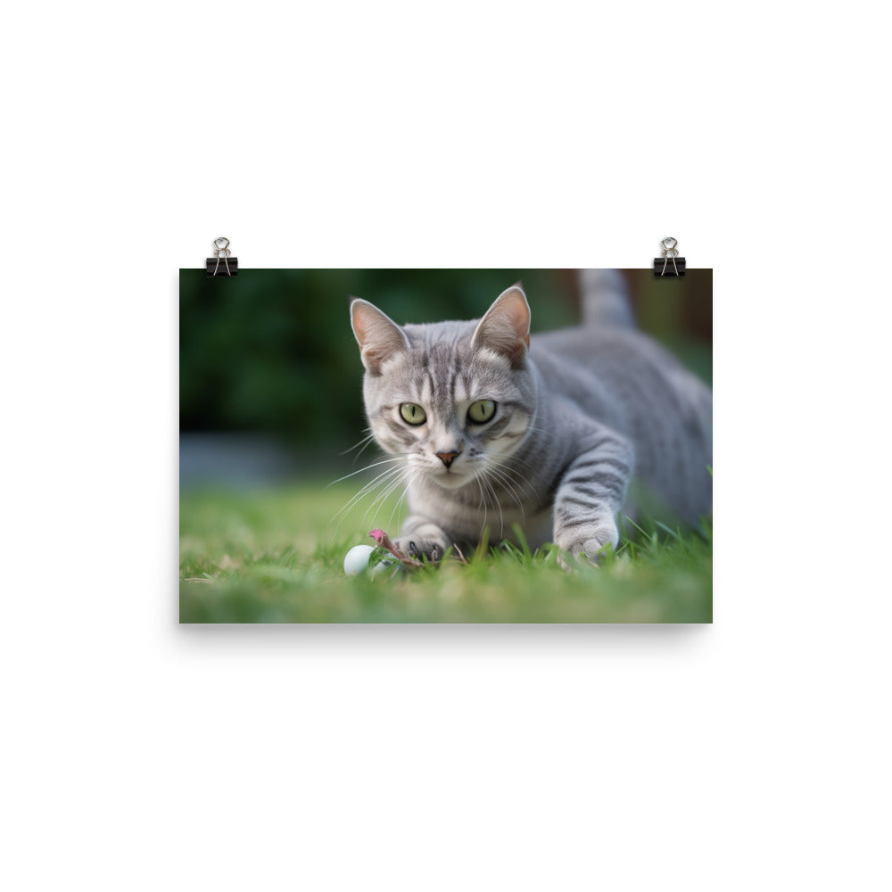 Adorable American Shorthair playing with toy mouse photo paper poster - Posterfy.AI