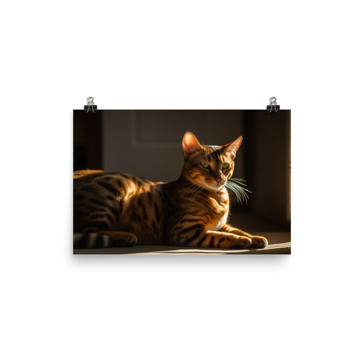 Majestic Bengal Cat Lounging in Sunbeam photo paper poster - Posterfy.AI