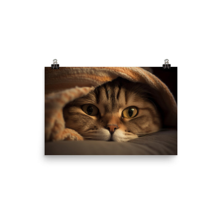 Portrait of a Scottish Fold cat photo paper poster - Posterfy.AI