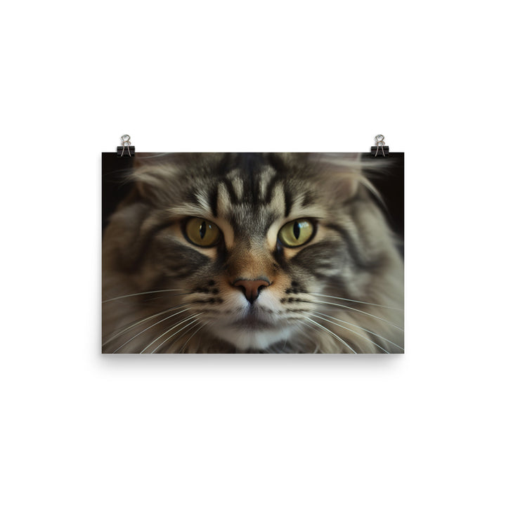 Maine Coon with a Close-Up shot photo paper poster - Posterfy.AI