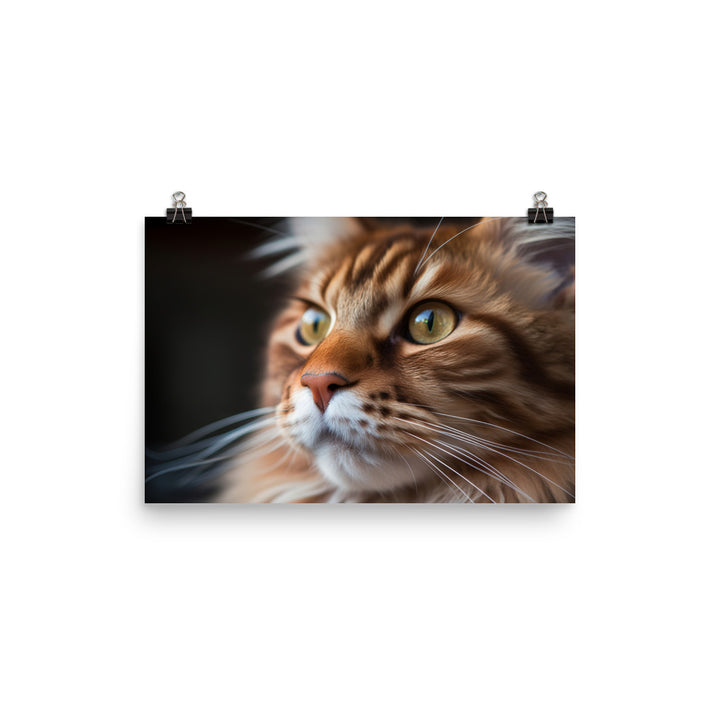 Maine Coon with a Close-Up shot photo paper poster - Posterfy.AI