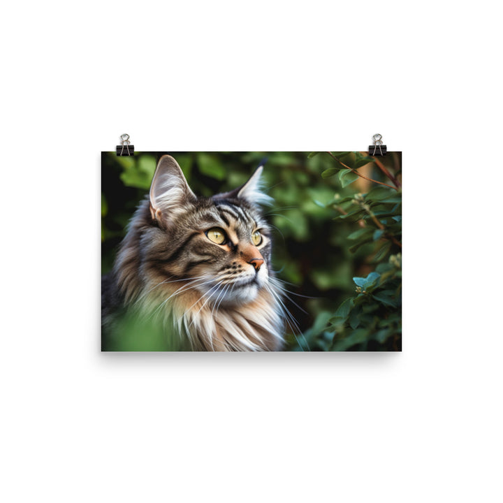 Maine Coon with a candid shot photo paper poster - Posterfy.AI