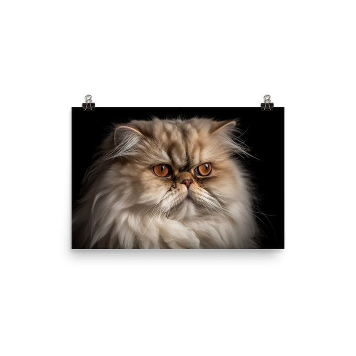 Regal Persian Cat photo paper poster - Posterfy.AI