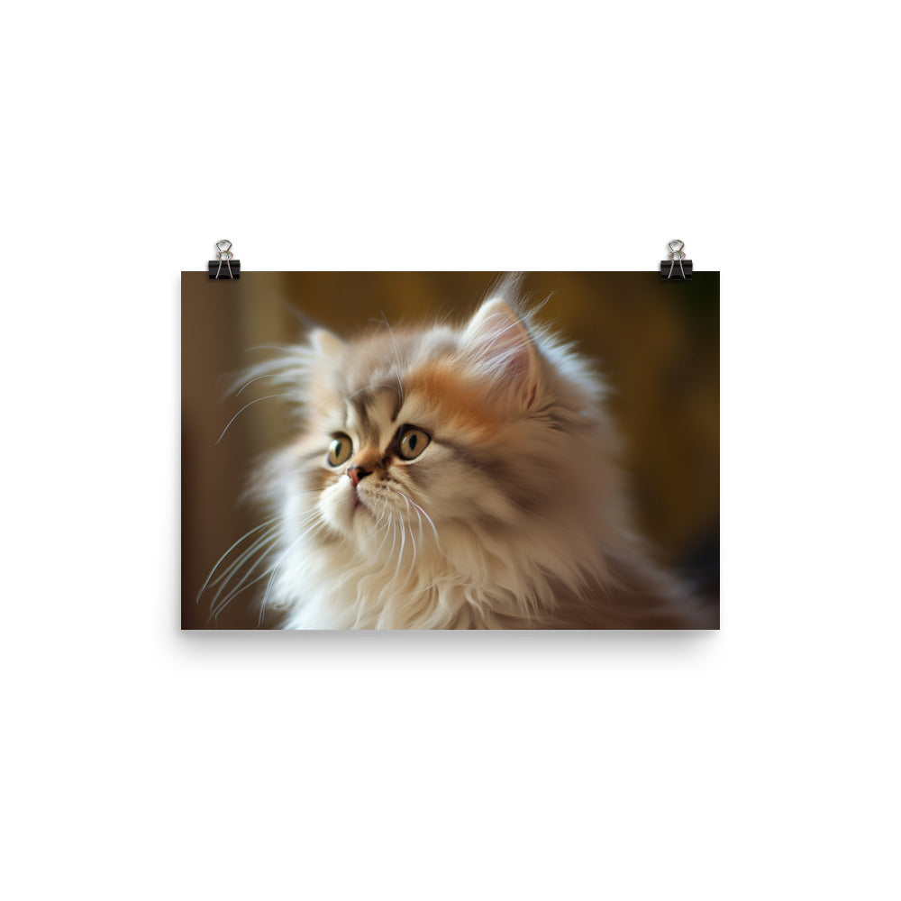 Fluffy Persian Kitten photo paper poster - Posterfy.AI