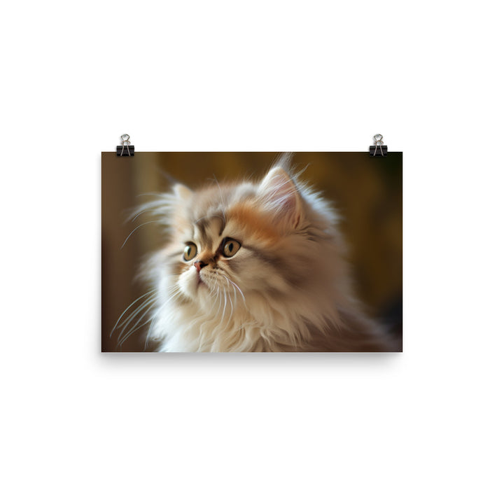 Fluffy Persian Kitten photo paper poster - Posterfy.AI