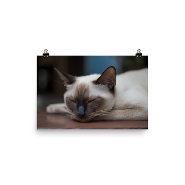 Sleepy Siamese Taking a Nap photo paper poster - Posterfy.AI