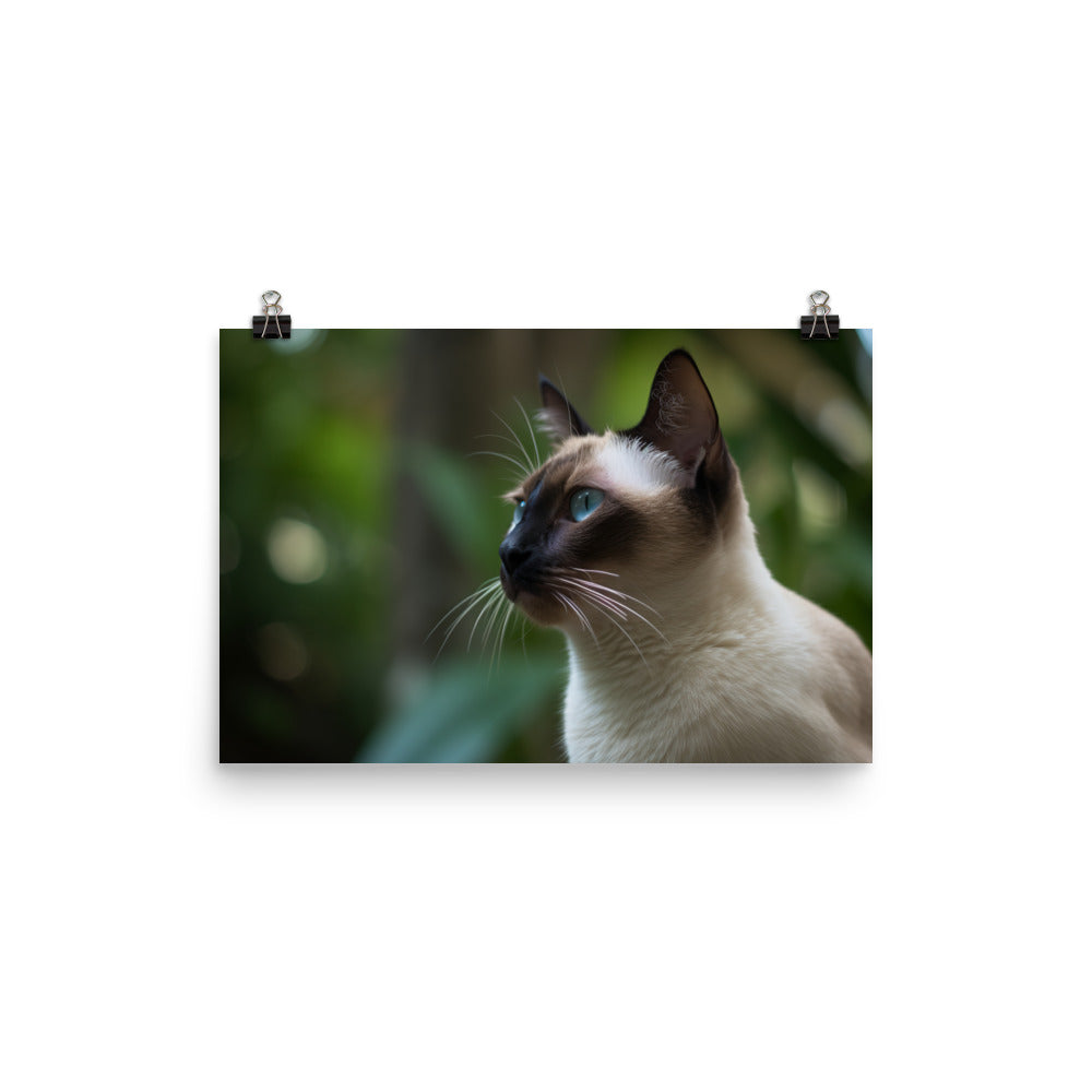 Majestic Siamese Staring into the Distance photo paper poster - Posterfy.AI