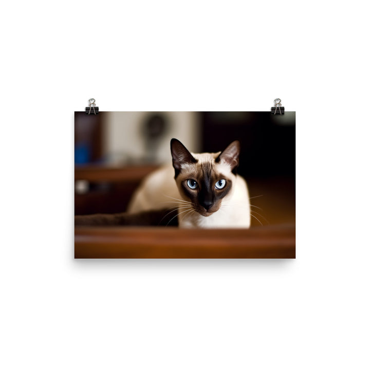 Curious Siamese Examining the Room photo paper poster - Posterfy.AI