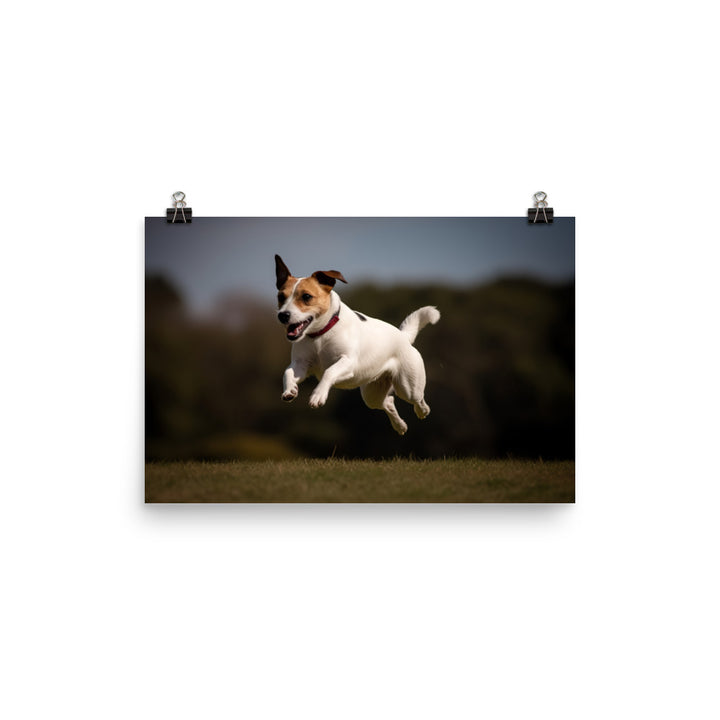 Spirited Jack Russell Terrier at Play photo paper poster - Posterfy.AI