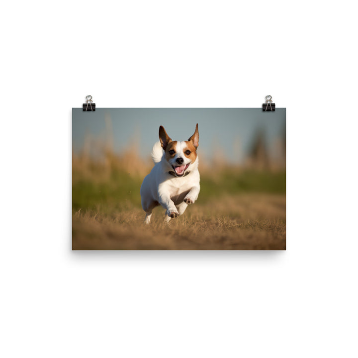 Jack Russell Terriers Comical Expression photo paper poster - Posterfy.AI