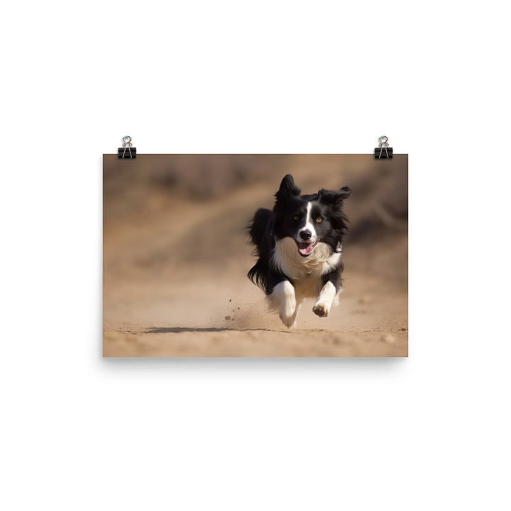 Energetic Border Collie in Action photo paper poster - Posterfy.AI