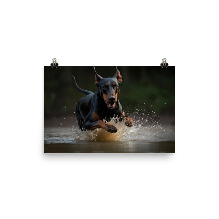 The athleticism of a Doberman Pinscher in action photo paper poster - Posterfy.AI