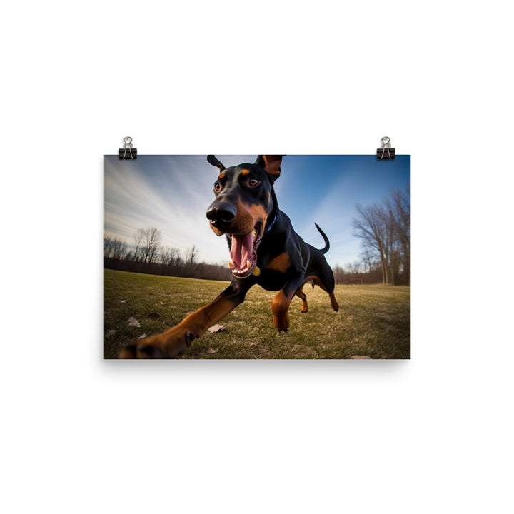 Doberman Pinschers love of running photo paper poster - Posterfy.AI