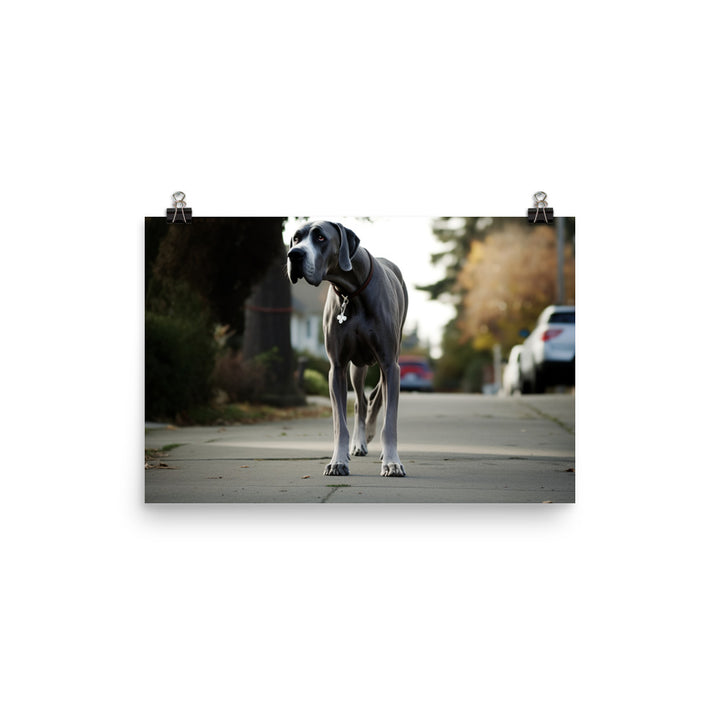 Majestic Great Dane on a Stroll photo paper poster - Posterfy.AI
