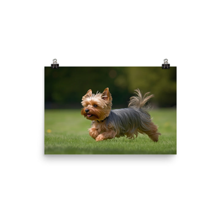 Yorkshire Terrier on the Go photo paper poster - Posterfy.AI