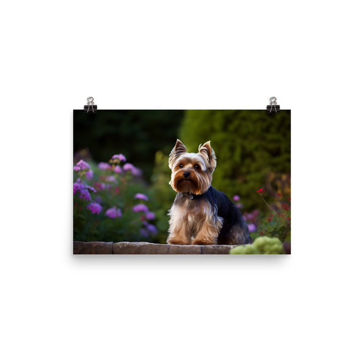 Yorkshire Terrier in the Garden photo paper poster - Posterfy.AI