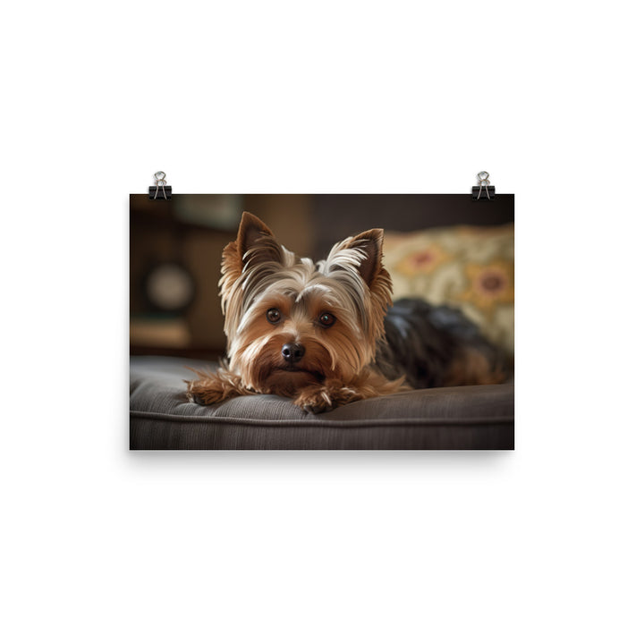 Yorkie at Home photo paper poster - Posterfy.AI