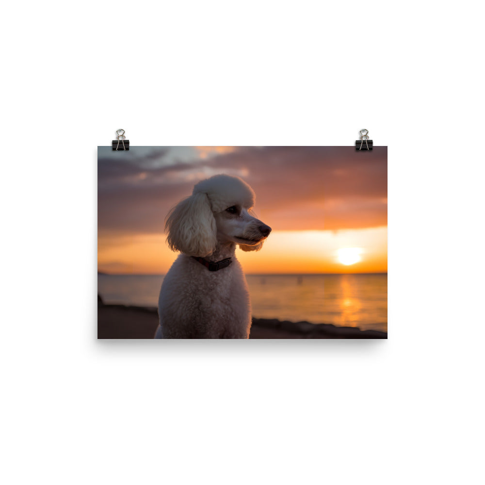 Poodle by the Seaside photo paper poster - Posterfy.AI