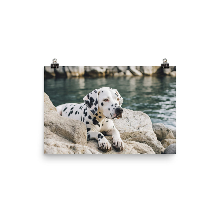 Dalmatian Daydream photo paper poster - Posterfy.AI