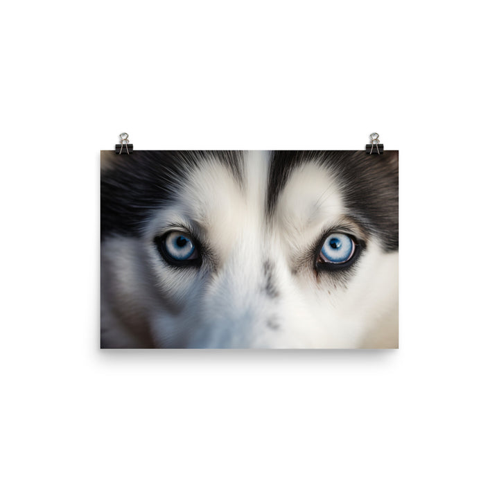 Siberian Huskys face photo paper poster - Posterfy.AI