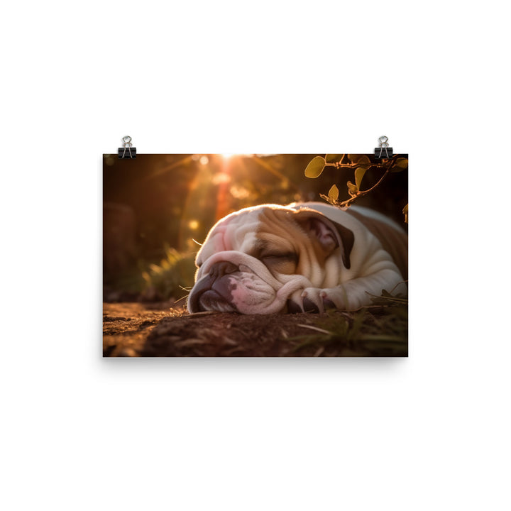 Cute Bulldog in the Sun photo paper poster - Posterfy.AI