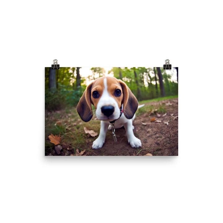 The curious eyes of a Beagle pup photo paper poster - Posterfy.AI