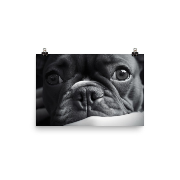 Snuggle time with Frenchie photo paper poster - Posterfy.AI