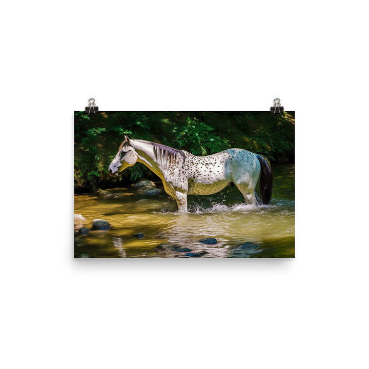 Dappled Appaloosa Horse photo paper poster - Posterfy.AI