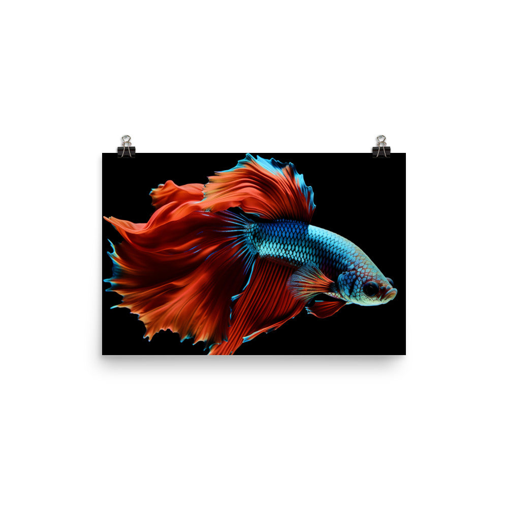 Vibrant Siamese Fighting Fish Photo paper poster - Posterfy.AI