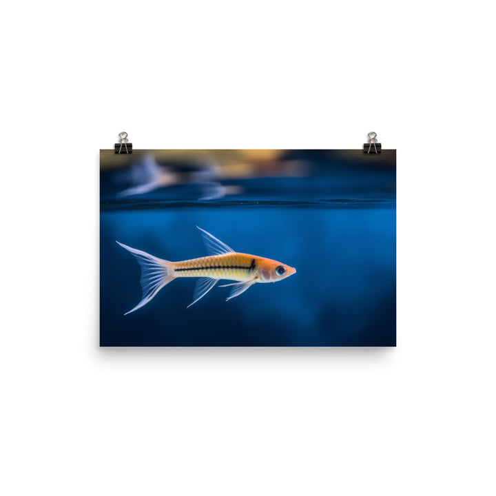 Elegant Swordtail Fish Floating in Serene Waters Photo paper poster - Posterfy.AI