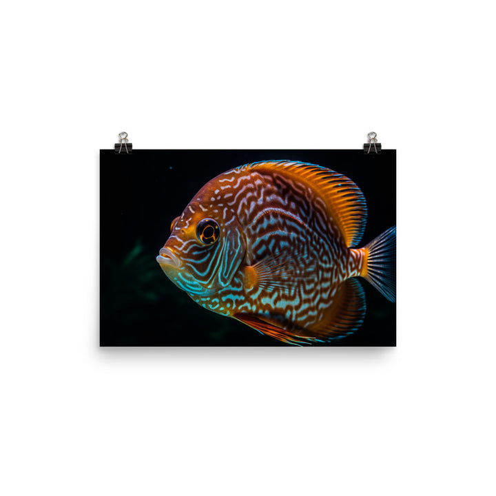 Majestic Discus Fish in Crystal Clear Waters Photo paper poster - Posterfy.AI