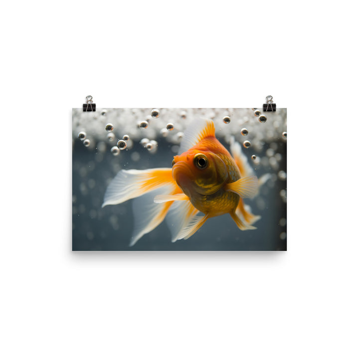 Gorgeous Goldfish in a Glass Tank Photo paper poster - Posterfy.AI